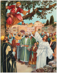 zacchaeus-climbed-up-in-a-tree-so-hecould-see-jesus-goodsalt-rhpas0757